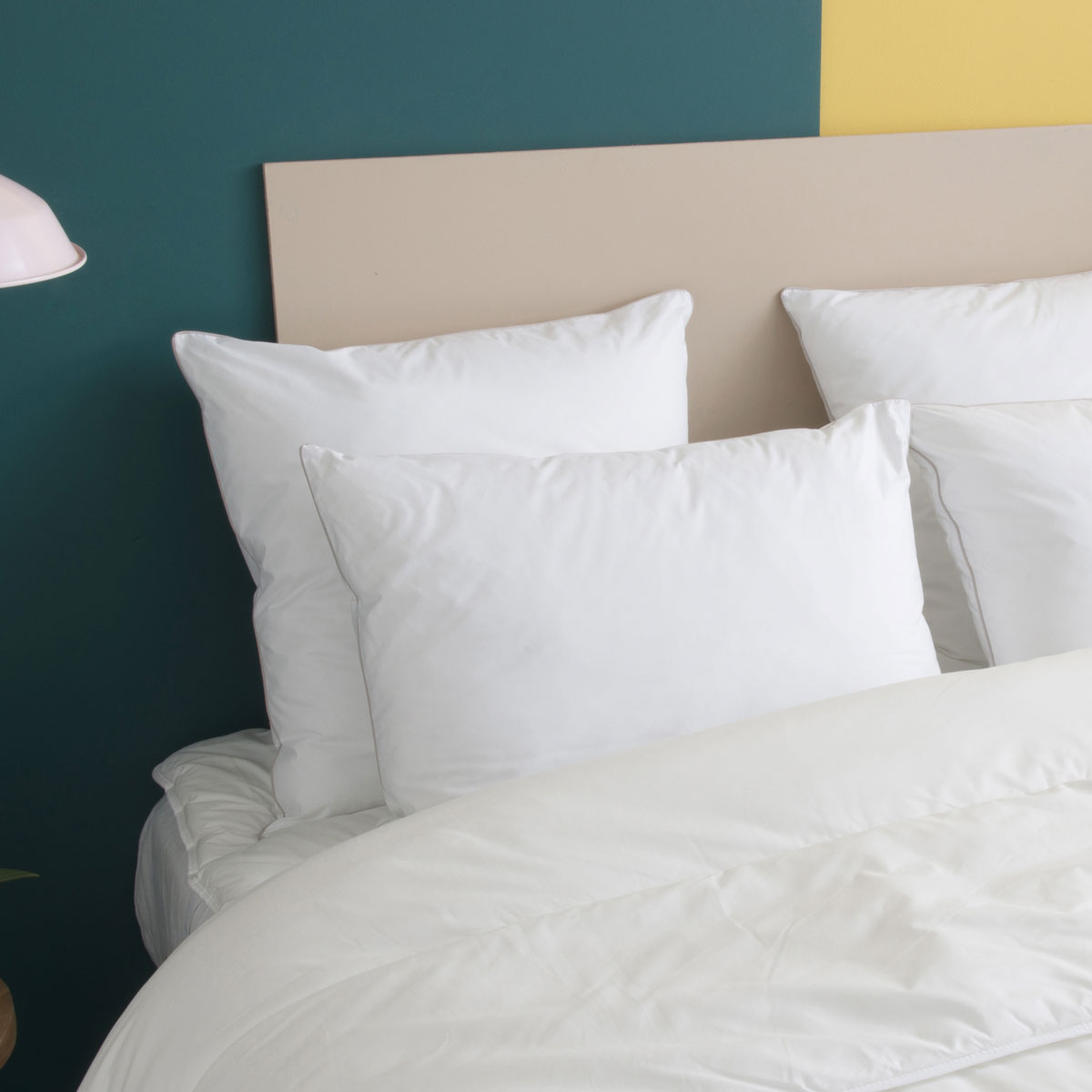 Oreiller MOELLEUX Toucher Duvet - Coton - Arsène