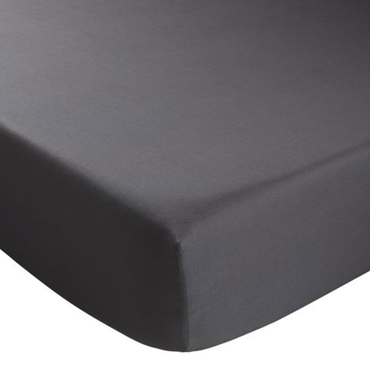 Drap housse Coton Antibactérien Anthracite