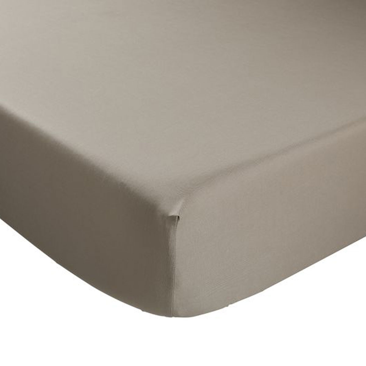 Drap housse Coton Antibactérien Taupe