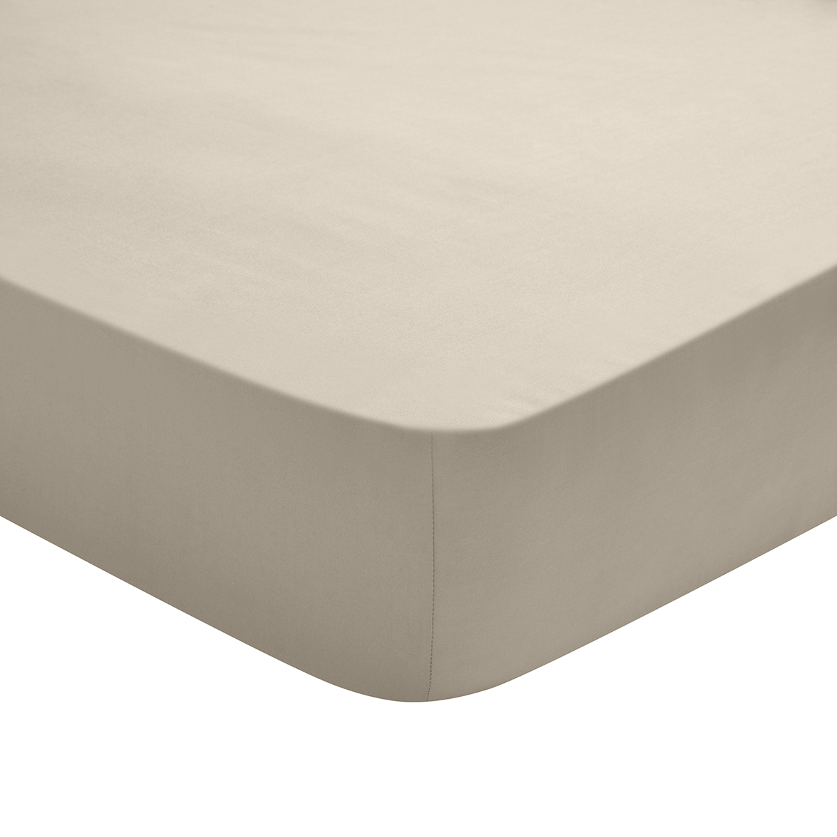 Drap Housse Studio Coton Sable