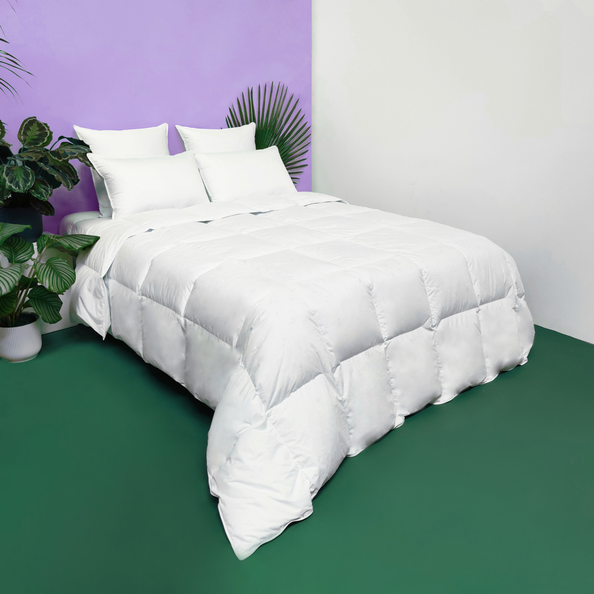 Couette TEMPEREE 40% Duvet - Coton - Marguerite