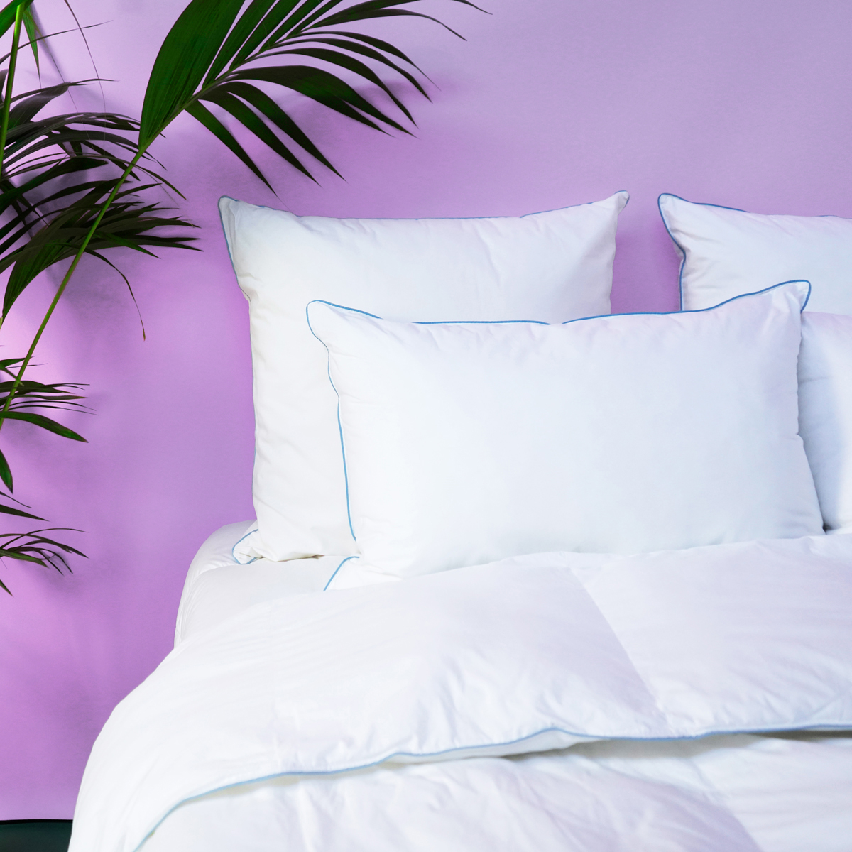 Oreiller MEDIUM Sensation Duvet - Coton Bio - Olivier