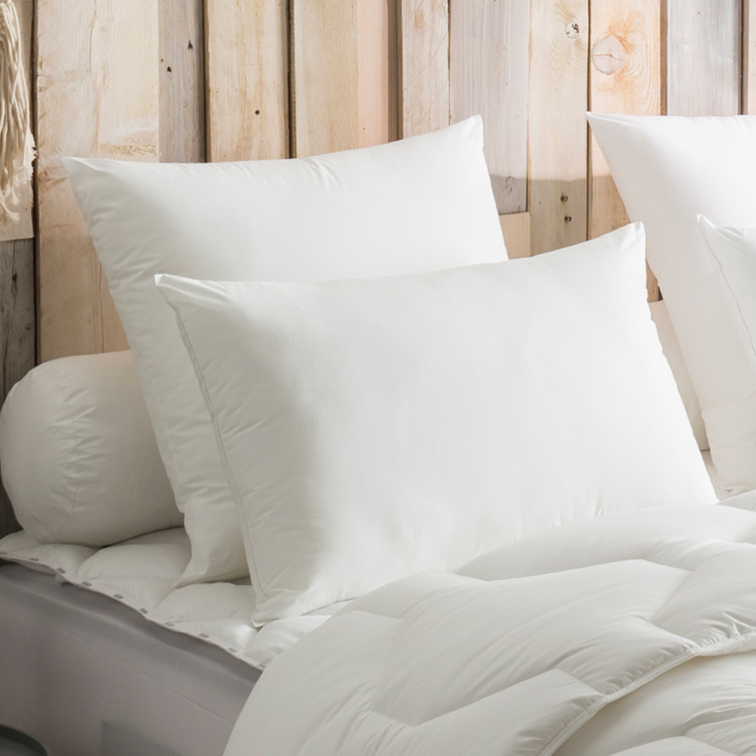 Oreiller Protection Active Anti-acariens MOELLEUX