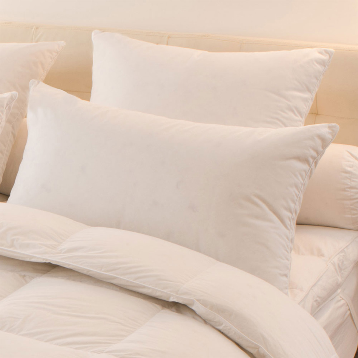 Oreiller Mélior - 5% duvet canard et oie - Ferme