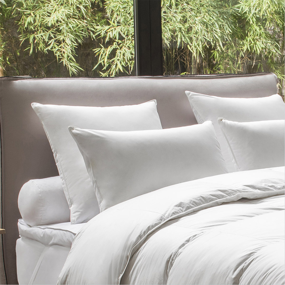 Oreiller ENVELOPPE COTON BIOLOGIQUE - 50% duvet canard et oie - Medium