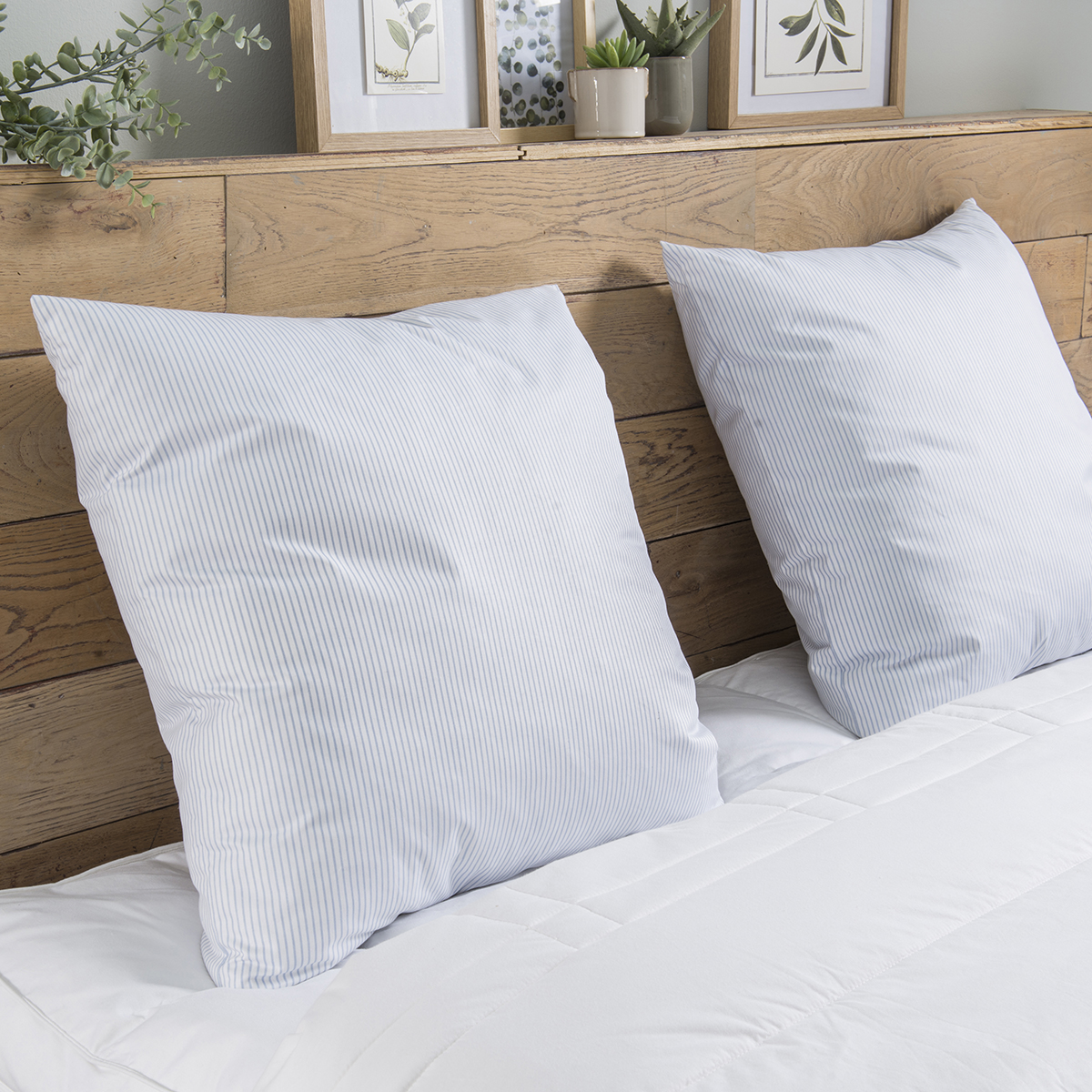 Oreiller Plumes Ferme - 100% plumettes